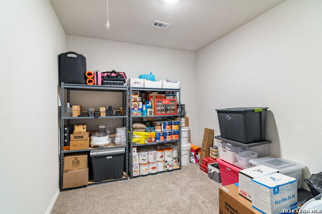 15502 Crimson Topaz Property Photo 26