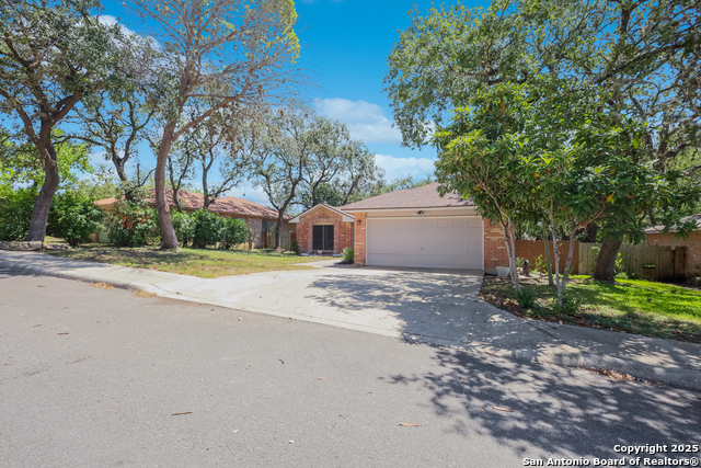 8605 Wood Peak Property Photo 3