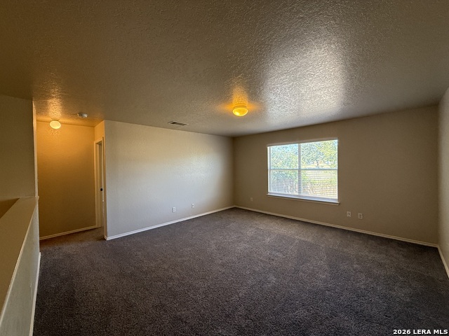 11127 Vollmer Ln Property Photo 10