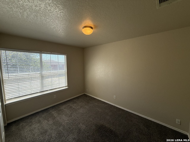 11127 Vollmer Ln Property Photo 17