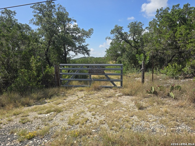 753 County Road 242 Property Photo 2