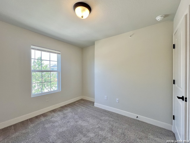 6310 Melanzane Ave Property Photo 16
