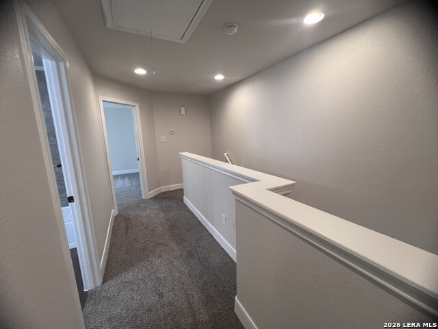 6302 Melanzane Ave Property Photo 15