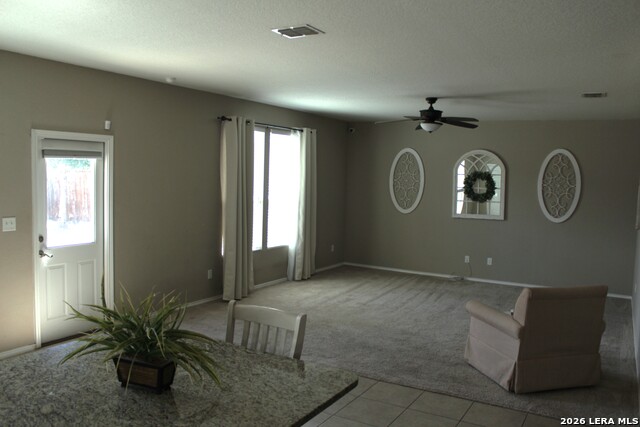 11718 Silver Horse Property Photo 7