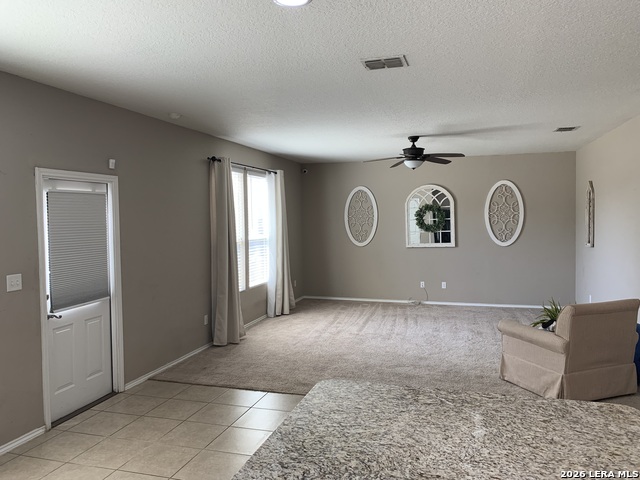 11718 Silver Horse Property Photo 13