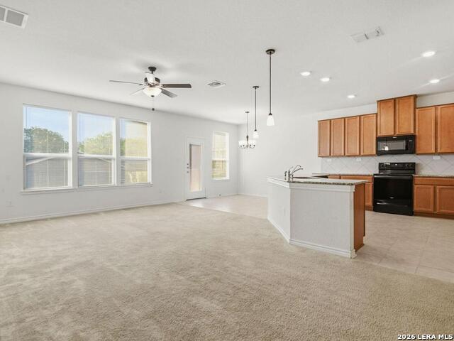 205 Lone Falls Dr Property Photo 5