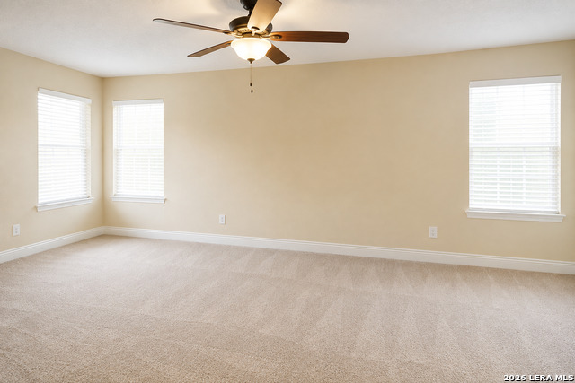 2807 Biering Peak Property Photo 9