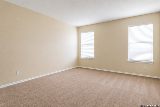 2807 Biering Peak Property Photo 12