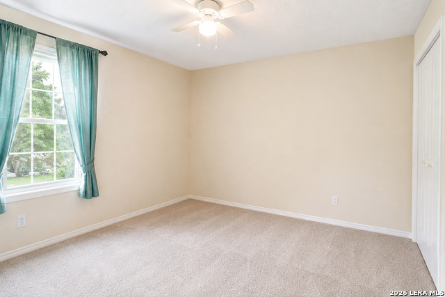 2807 Biering Peak Property Photo 13