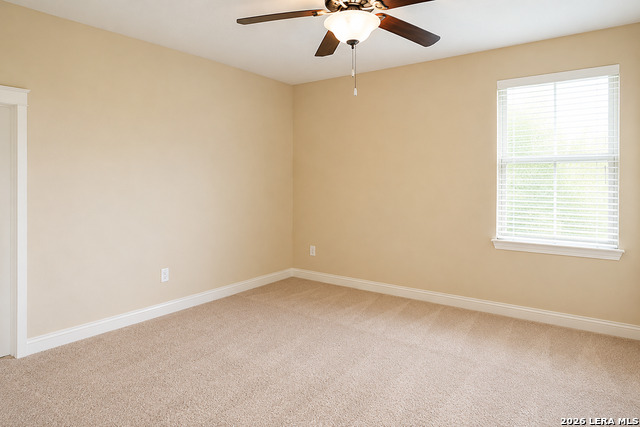2807 Biering Peak Property Photo 14