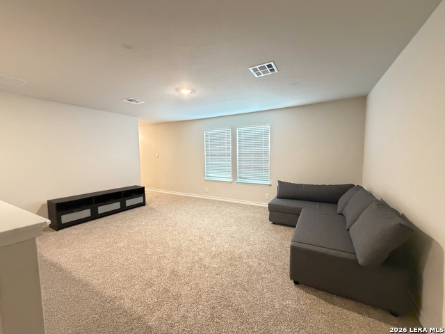 21252 Millstream Bnd Property Photo 28