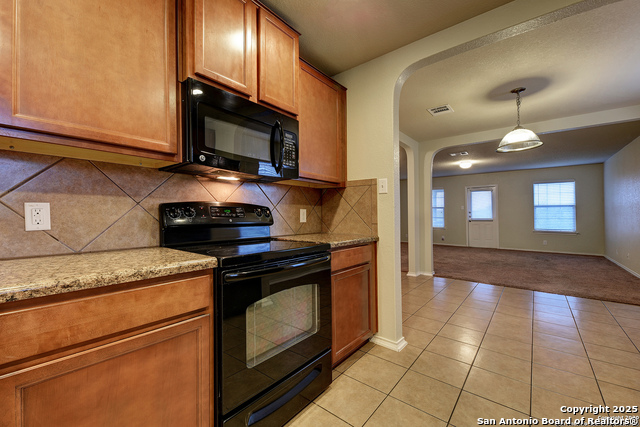 10907 Cimarron Cove Property Photo 4