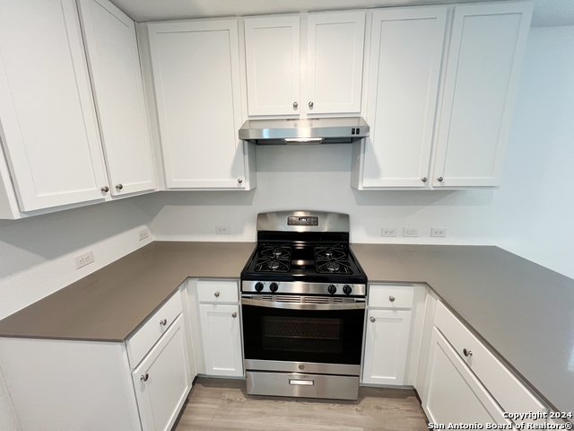 736 Bullsnake Trl Property Photo 10