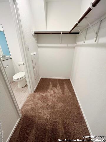 736 Bullsnake Trl Property Photo 23