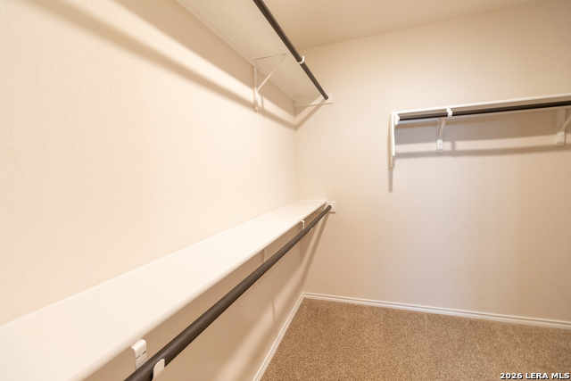 8414 Tortoise Trl Property Photo 14