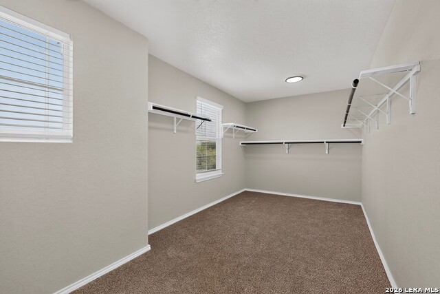 13511 Winemaker Dr Property Photo 18