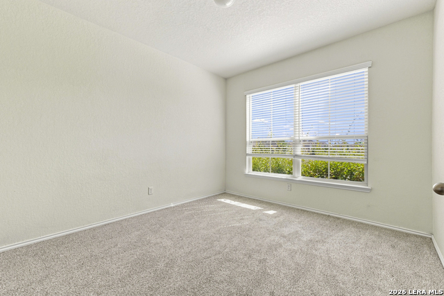 1006 Terlan Dr Property Photo 29