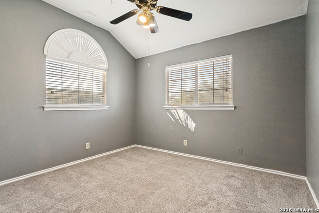 5803 Spring Crown Property Photo 19