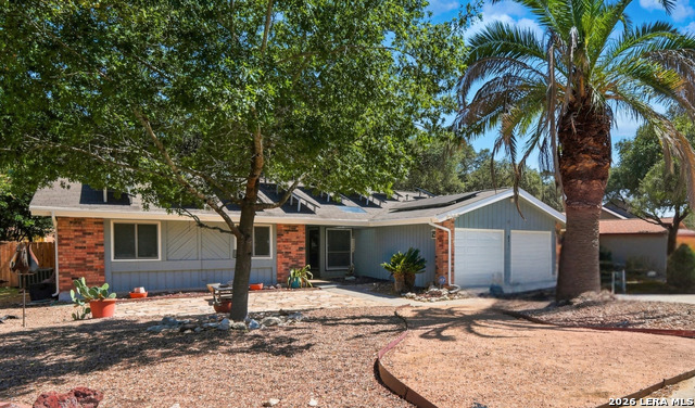 8434 Timber Crest St Property Photo 16