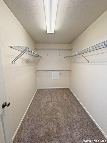 6914 Dashmoor Crk Property Photo 15