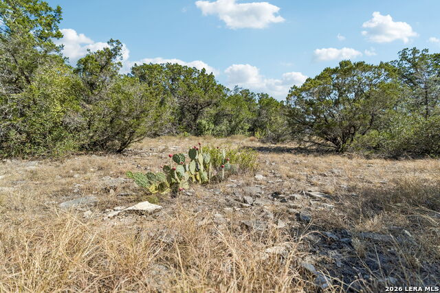 Lot 126 High Valley Rd Property Photo 18