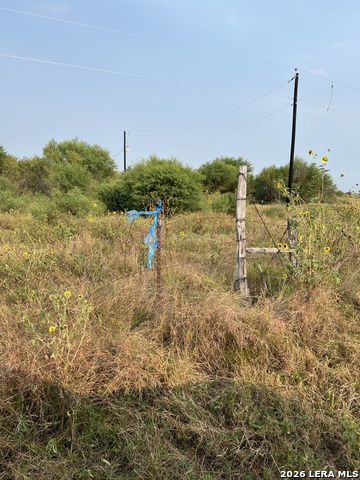 000 County Road 515 Property Photo 3