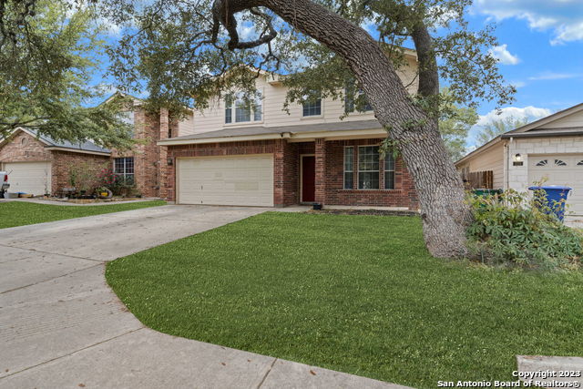 5331 Argyle Way Property Photo 3