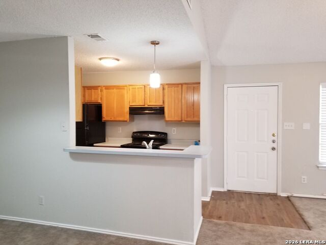 9207 Shadow Crest Dr Property Photo 6