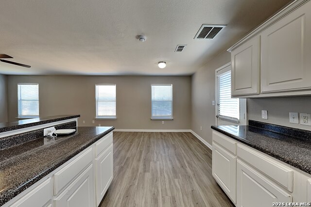 11106 Indian Canyon Property Photo 5