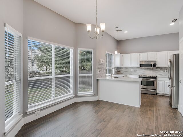 15711 Wolf Creek St Property Photo 13