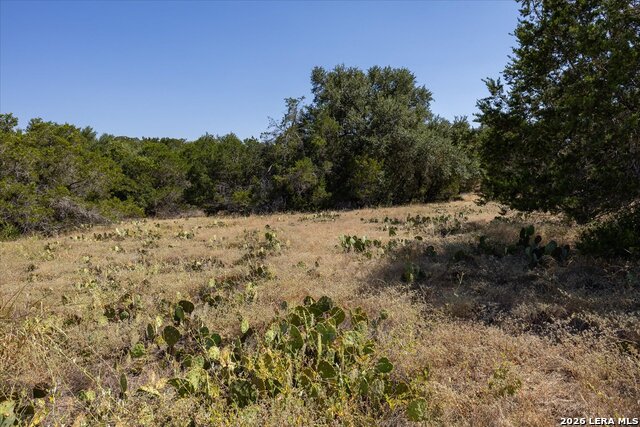 6730 Spring Branch Rd. Property Photo 10