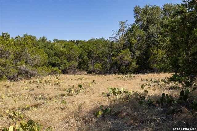 6730 Spring Branch Rd. Property Photo 11