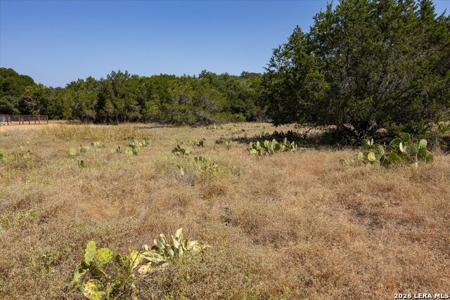 6730 Spring Branch Rd. Property Photo 15