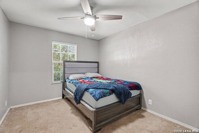 1838 Hamilton Pool Property Photo 13