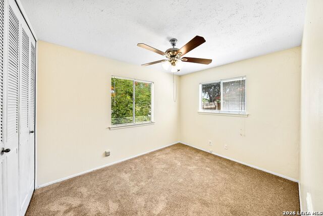 5306 Wapiti Trl Property Photo 34