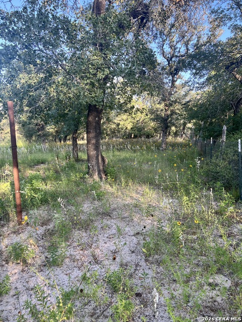 149 Longhorn Rd Property Photo 31