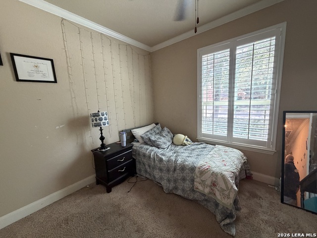 9515 Bow Willow Property Photo 13
