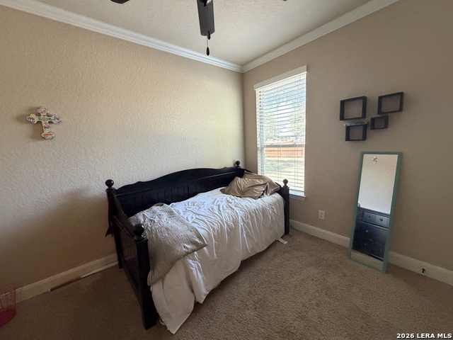 9515 Bow Willow Property Photo 14