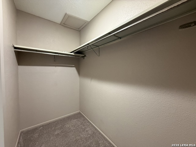 3243 Nacogdoches Rd Property Photo 9