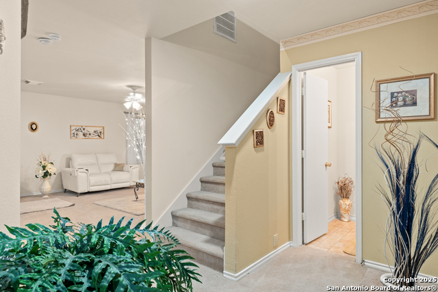 4919 Orchid Star Property Photo 25