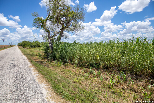 0 Cr 647 Property Photo 18