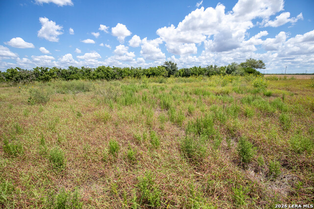 0 Cr 647 Property Photo 23