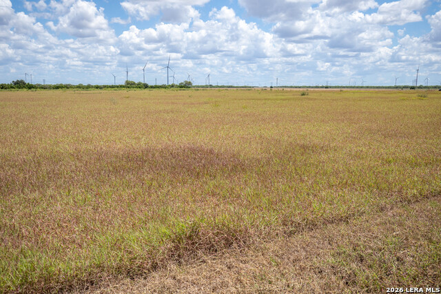 0 Cr 647 Property Photo 32