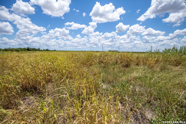 0 Cr 647 Property Photo 39