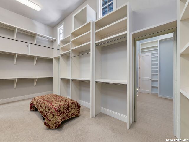 11426 Cat Springs Property Photo 31