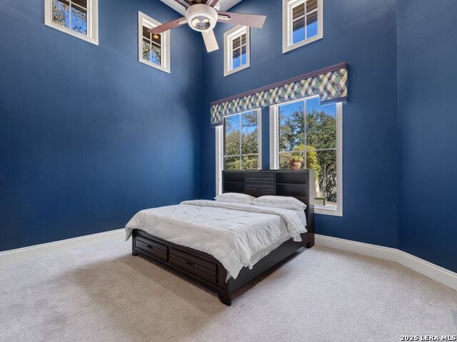 11426 Cat Springs Property Photo 39