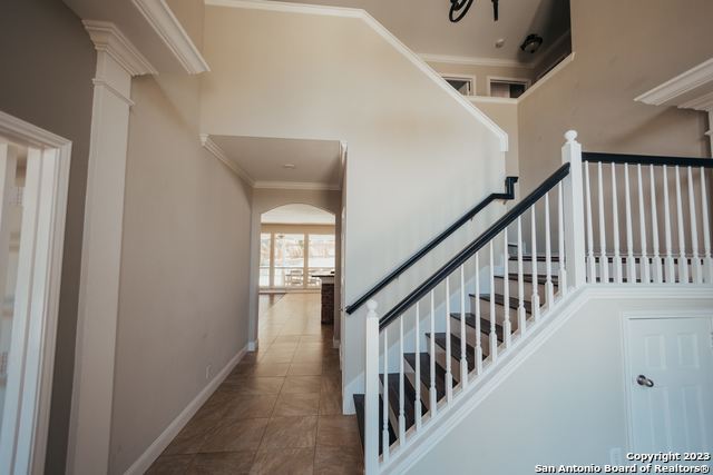 519 Wildgrove Ln Property Photo 14