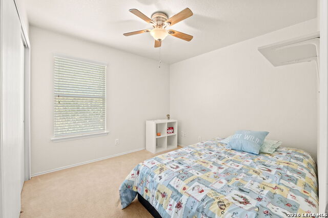 135 Booker Palm Property Photo 18
