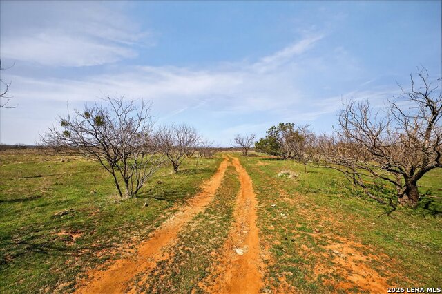 4140 N State Highway 16 Property Photo 2