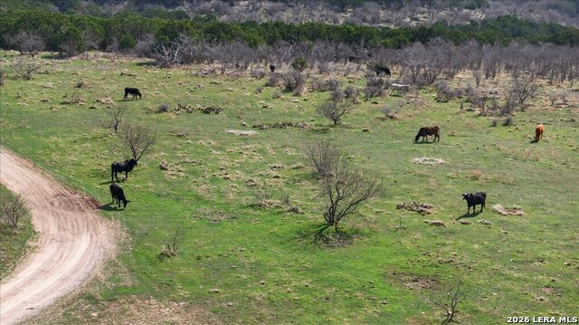 4140 N State Highway 16 Property Photo 12